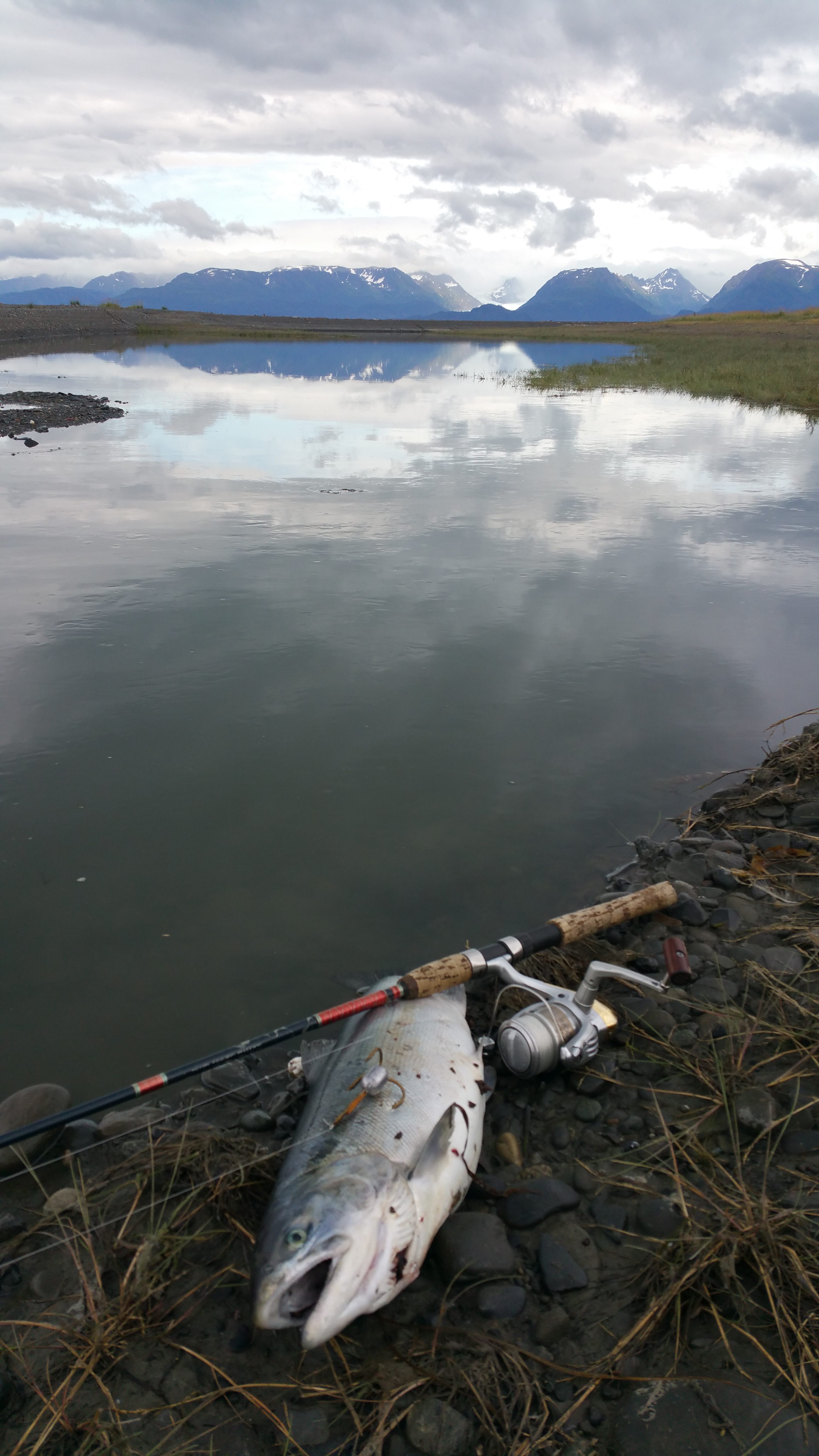 My Personal Favorite Way To Fish Alaska Snagging Silver Salmon on the