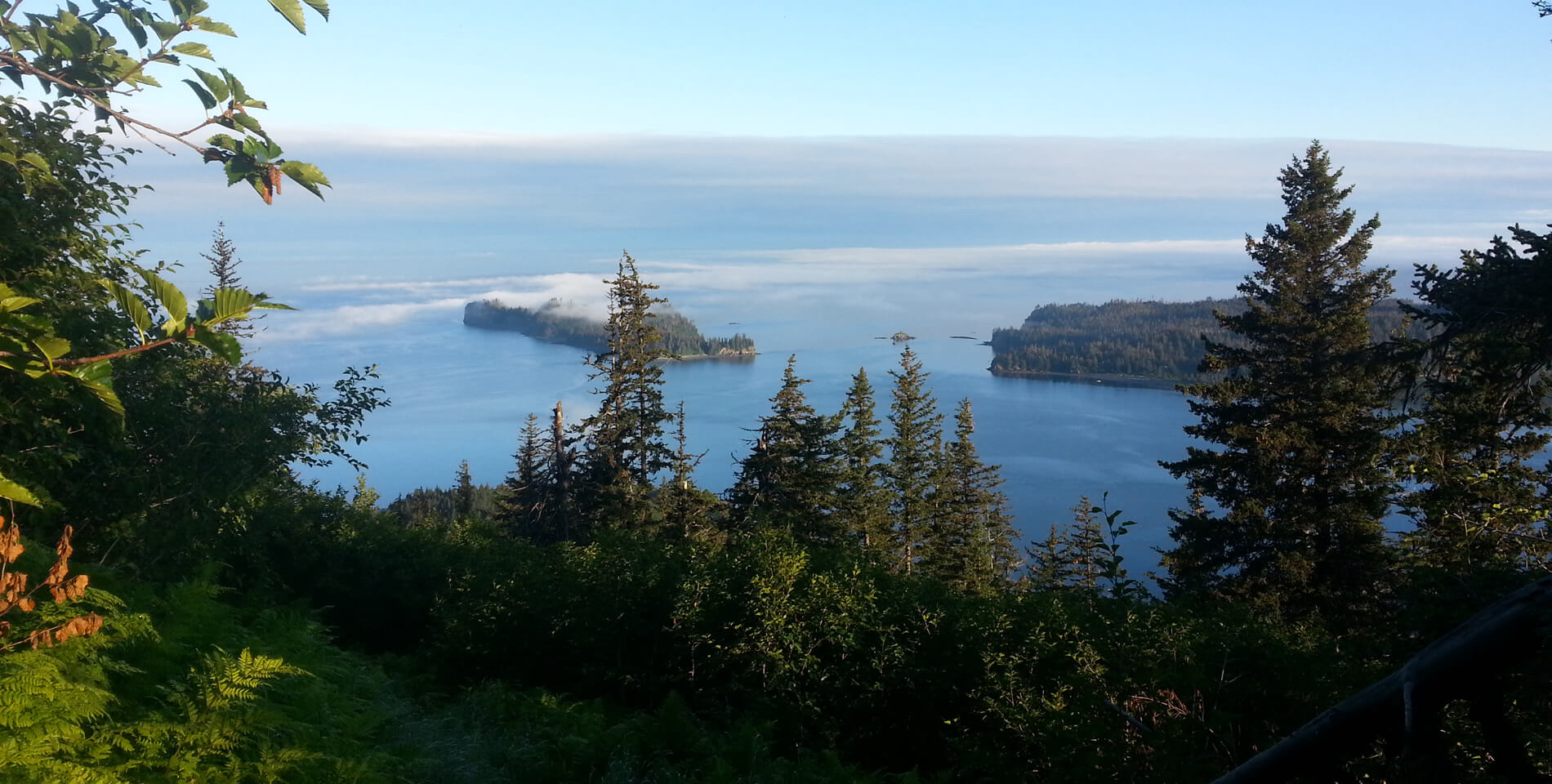 Red kayak with two women in foreground; white kayak with couple in background; it’s a calm, foggy morning.